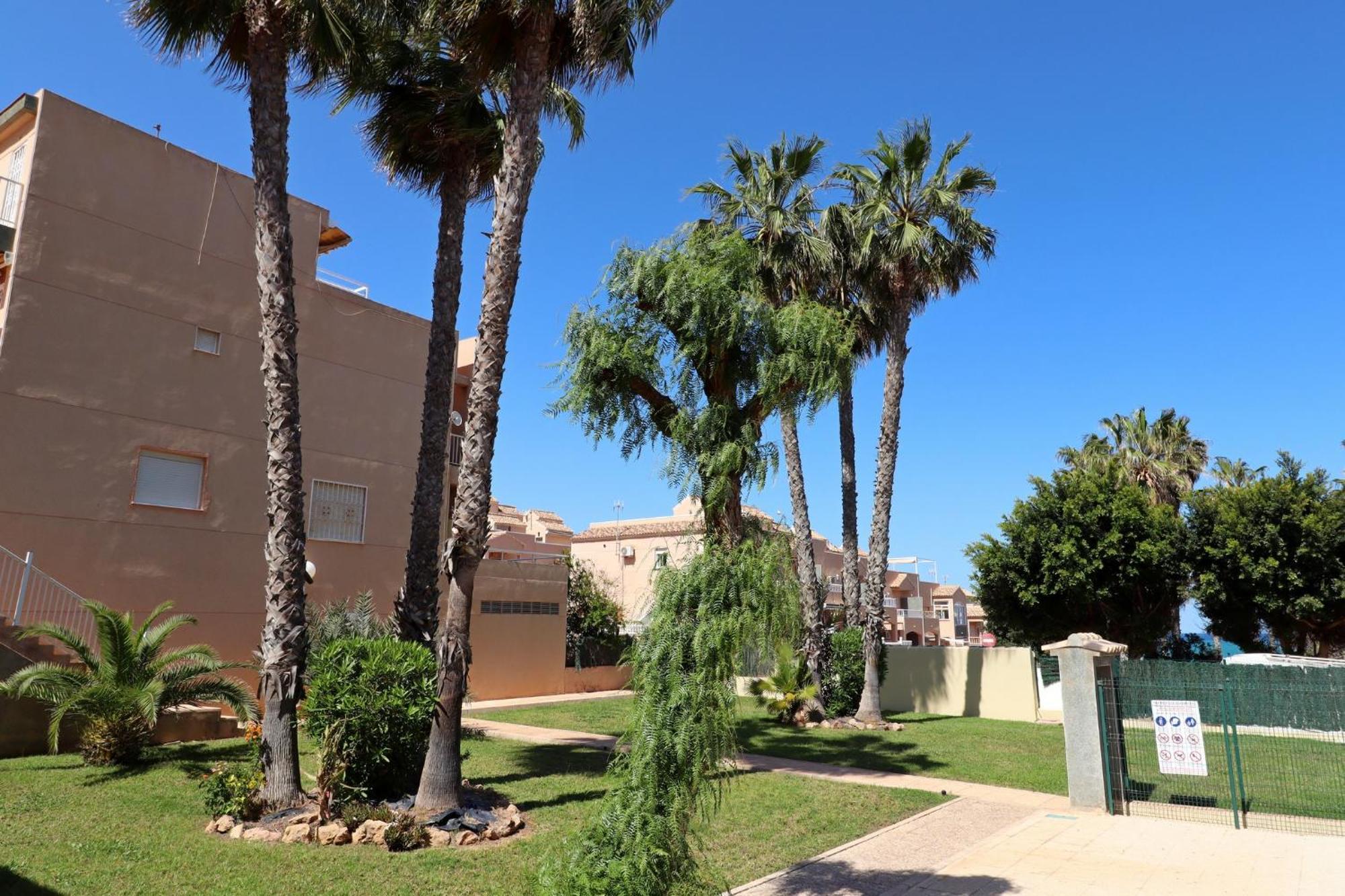 Apartamento Casa De Alba Cabo Cervera La Mata Торрев'єха Екстер'єр фото